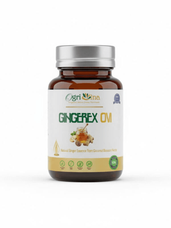 Tinh chất gừng mật hoa dừa Gingerex Ovi