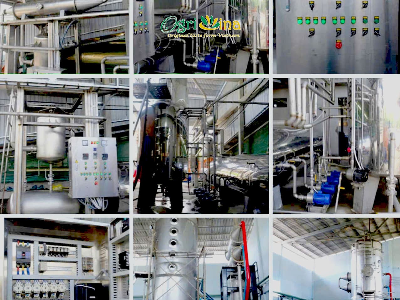 Cách chúng tôi làm việc